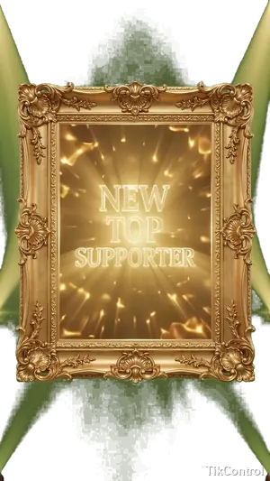 Gold Frame — New Top Supporter — TikTok LIVE PK battle overlay effect